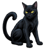 Black Cat