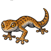 Gecko