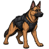 Police K9