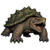 Snapping Turtle